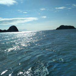 阿南市の淡島突堤でツバスとシオ