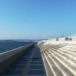 尺アジが豆アジに・・・