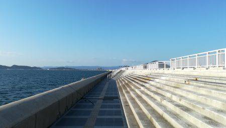 尺アジが豆アジに・・・