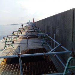 とにかく暑かった❗