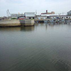 もう少しで五目釣り