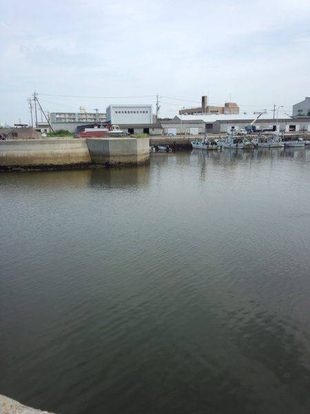 もう少しで五目釣り