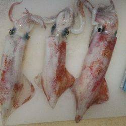 ケンサキサイズup！