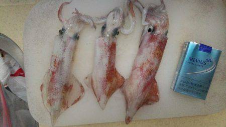 ケンサキサイズup！