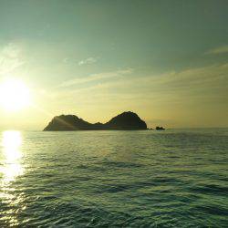 阿南市の辰巳でタチウオ