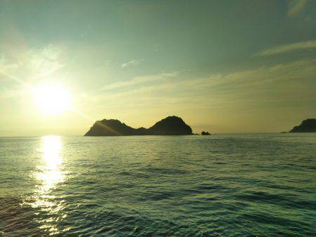 阿南市の辰巳でタチウオ