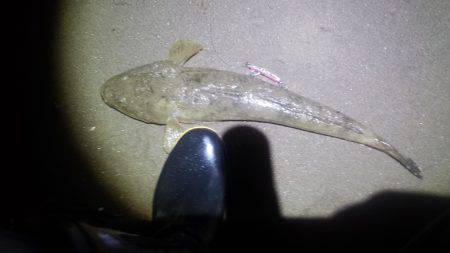 激熱!河芸サーフ