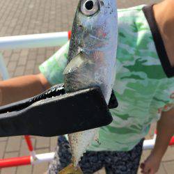 南港コスモスクエア