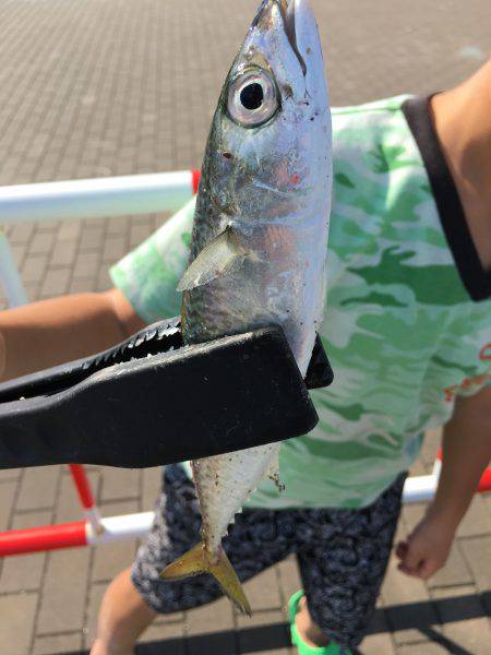 南港コスモスクエア