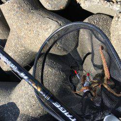 デイオクトパッシング