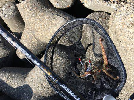 デイオクトパッシング