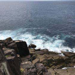 沖磯ロックフィッシュゲーム