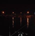 全くダメケンサキ