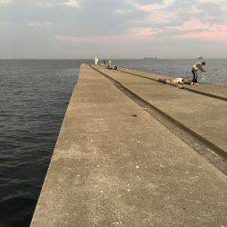 タチウオ調査&オクトパッシング