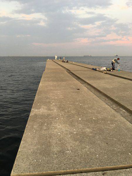 タチウオ調査&オクトパッシング