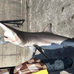 一文字でショアジギング