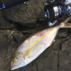 地磯チャレンジ