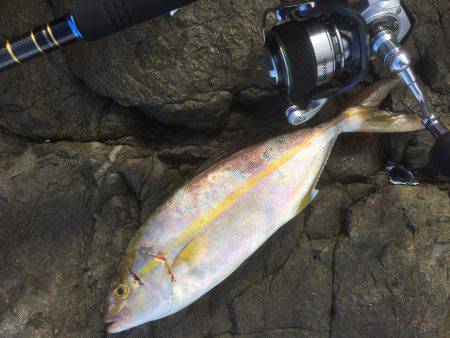 地磯チャレンジ