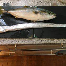 友人と満足釣行