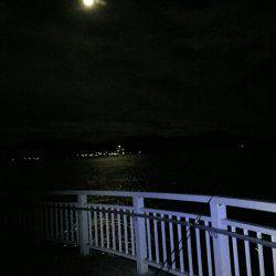 月夜釣り