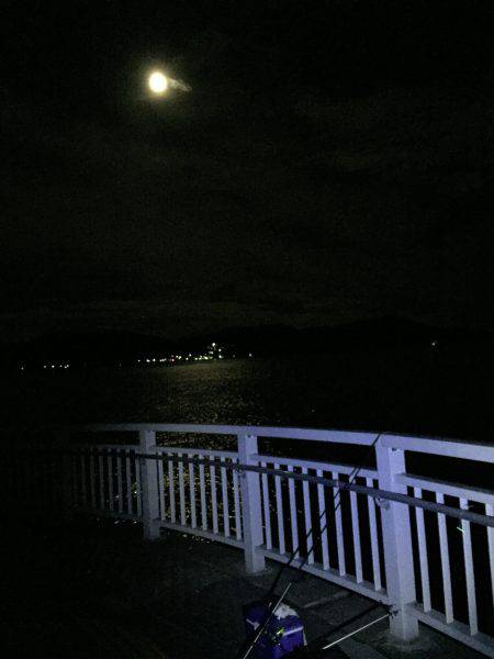 月夜釣り