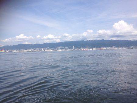 タコワンファイナル