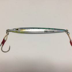 ショアジギング