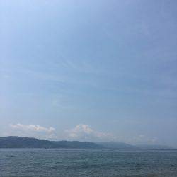 シーバス狙いのツバス