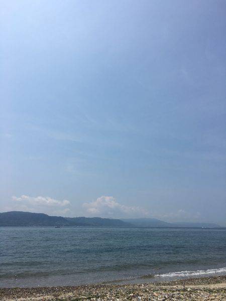 シーバス狙いのツバス