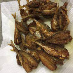 ファミリーフィッシング