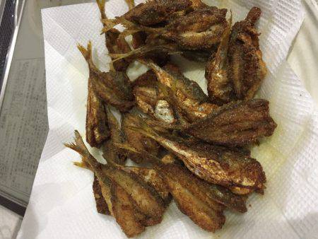 ファミリーフィッシング