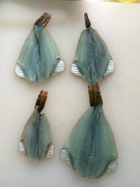 ツバス連敗中…