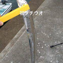 ナブラ神やっさ〜