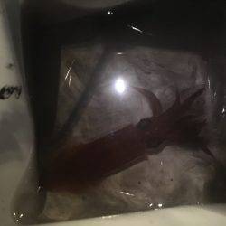 台風が来る前に