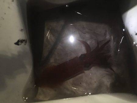 台風が来る前に