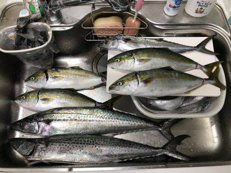 オフショア2回目！