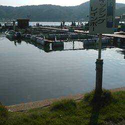 海上釣り堀レインボーでヒラマサ、カンパチ狙い