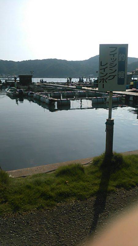 海上釣り堀レインボーでヒラマサ、カンパチ狙い