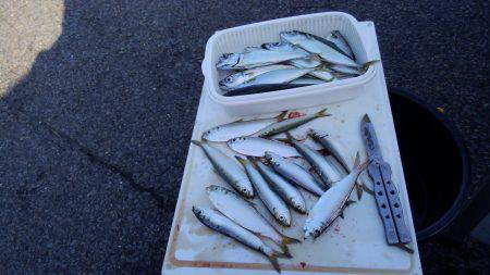 久しぶりの釣行