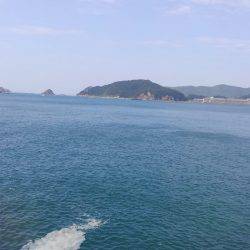 磯は無理でした