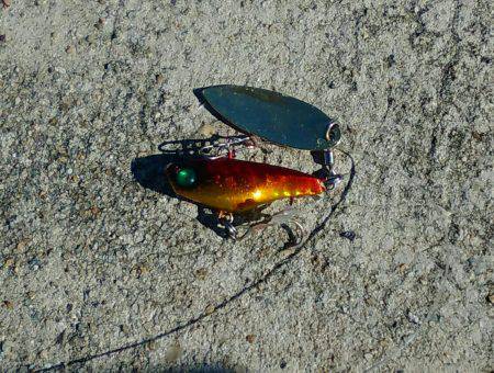 淡路島、明石方面で青物釣果が上がっていたので行って見たのですが?
