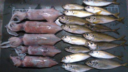 今季、初ケンサキ