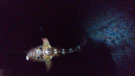 リベンジ…ならず