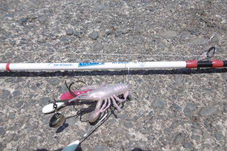 気合入れてナイトオクトパッシング？