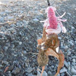 サーフオクトパッシング