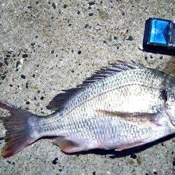 念願の初ヌーチー