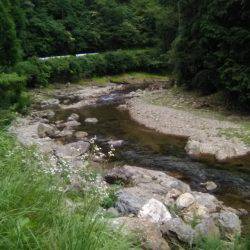 上桂川広河原地区・花背地区