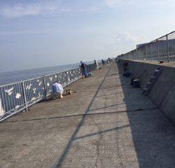 結局サバのみ。