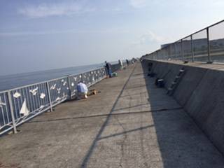 結局サバのみ。