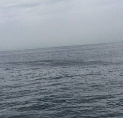 ♪サバサバ～。